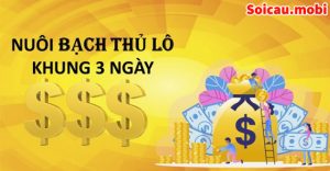 Nuôi bạch thủ lô khung 3 ngày chính xác